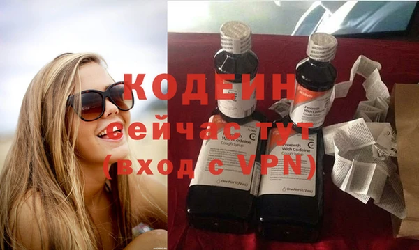 прущий лед Алзамай