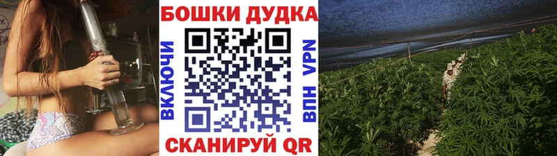 Бошки Шишки Ganja  Карабаново 